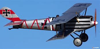 Image result for Pfalz D.Iii