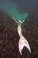 Image result for Horrible Deep Sea Mermaid