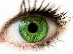Image result for Green Eyes Light Green