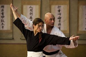 Image result for Top 10 Martial Arts Movies