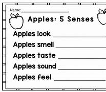Image result for 5 Sense Apple's Kindergarten