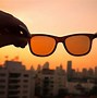 Image result for Photochromic Lens