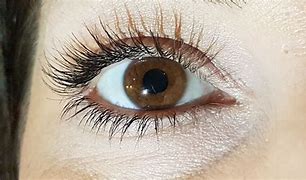 Image result for Brown Eyes with Lashes