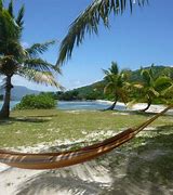 Image result for Pelican On Beach