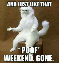 Image result for Monday After a Busy Weekend Meme