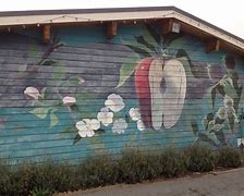Image result for Apple Cup Chelan Was