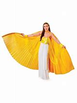 Image result for Gold Wings Costume