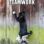 Image result for Teamwork Makes the Team Work Meme