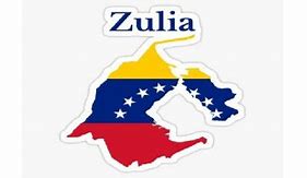 Image result for co_oznacza_zulia