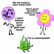Image result for Identities Meme Bfb