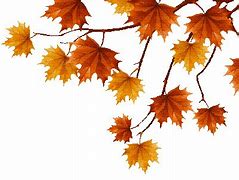 Image result for Fall Borders Free