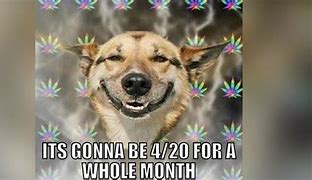 Image result for 420 Meme Today