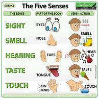 Image result for 5 Senses Print Out