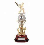 Image result for Large Cricket Trophy Cups