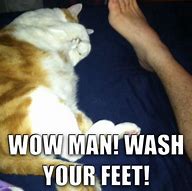 Image result for Cat Feet Meme