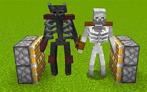 Image result for Minecraft Mutant Wit Her Skeleton Skull
