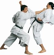 Image result for Tye Cheney the Type of Karate