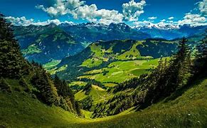 Image result for Nature View