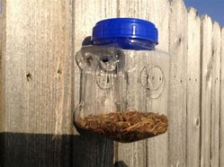 Image result for Homemade Bluebird Feeders for Meal Worms