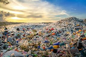 Image result for Soda Tin Can Pollution Ocean