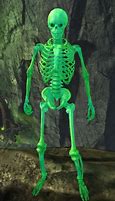 Image result for Glow in the Dark Skeletons