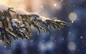 Image result for Winter Wallpaper for iPad