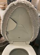 Image result for Broken Toilet Seat Cover