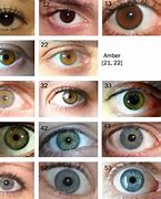 Image result for Blue Eye Color Chart