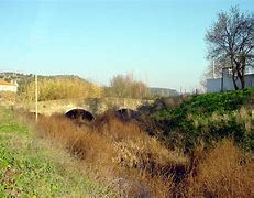 Image result for aocorce