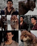 Image result for What Werewolf Paul Is Breaking Dawn Part 1 Twilight
