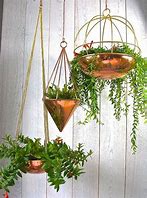 Image result for Indoor Hanging Baskets