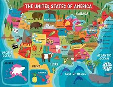 Image result for NBA Map of USA