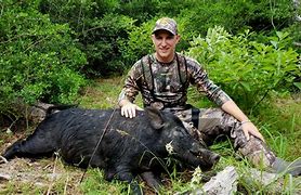 Image result for West Texas Feral Hogs