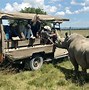 Image result for Best Safari in Kenya