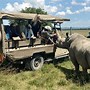 Image result for Nairobi Safari
