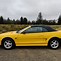 Image result for chrome yellow 1995 mustaNG