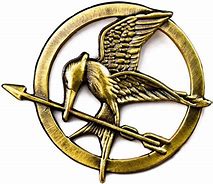 Image result for Hunger Games Mockingjay Pin