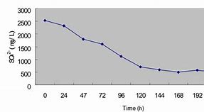 Image result for SRB Experiment