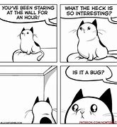 Image result for shock cats memes templates