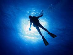 Image result for People Diving