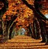 Image result for Fall iPad Wallpaper