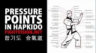 Image result for Martial Arts Pressure Points Korean