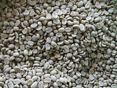 Image result for Kenya Coffee