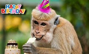 Image result for Happy Birthday Finger Monkey