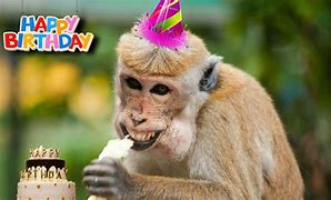 Image result for Awkward Birthday Monkey Meme