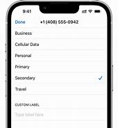Image result for iPhone Dual Sim