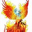 Image result for Phoenix Draw