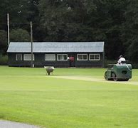 Image result for Cricket Wicket