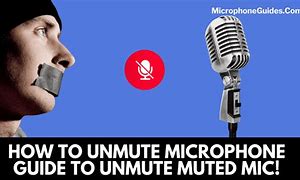 Image result for How to Unmute Microphone