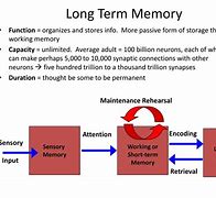 Image result for Long-Term Memory Model